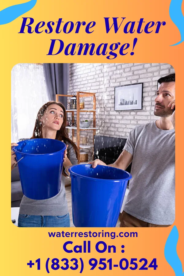 water restoration Horizon Disaster Cleanup Inc Chase Crossing