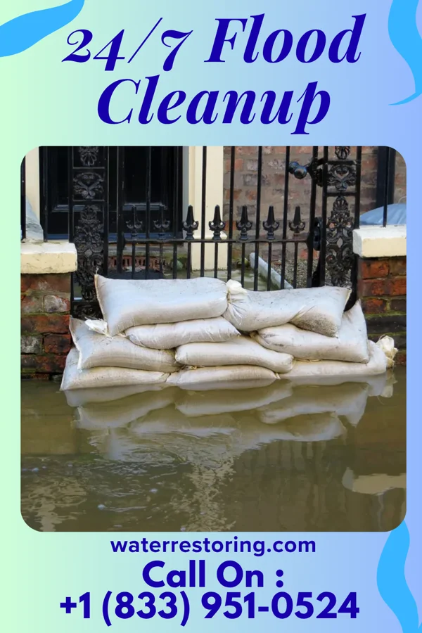 24/7 Flood Cleanup in Chase Crossing, VA
