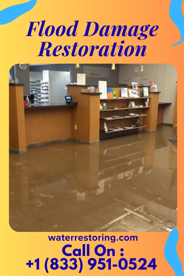 Flood Damage Restoration in Chase Crossing, VA