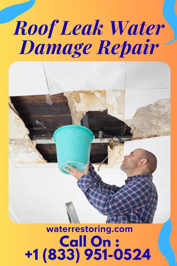 Roof Leak Water Damage Repair in Chase Crossing, VA