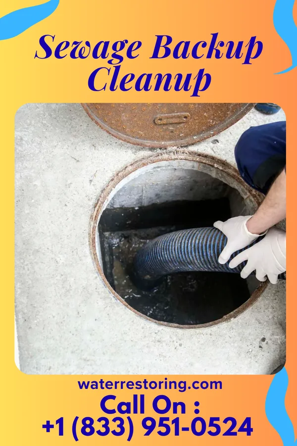 Sewage Backup Cleanup in Chase Crossing, VA